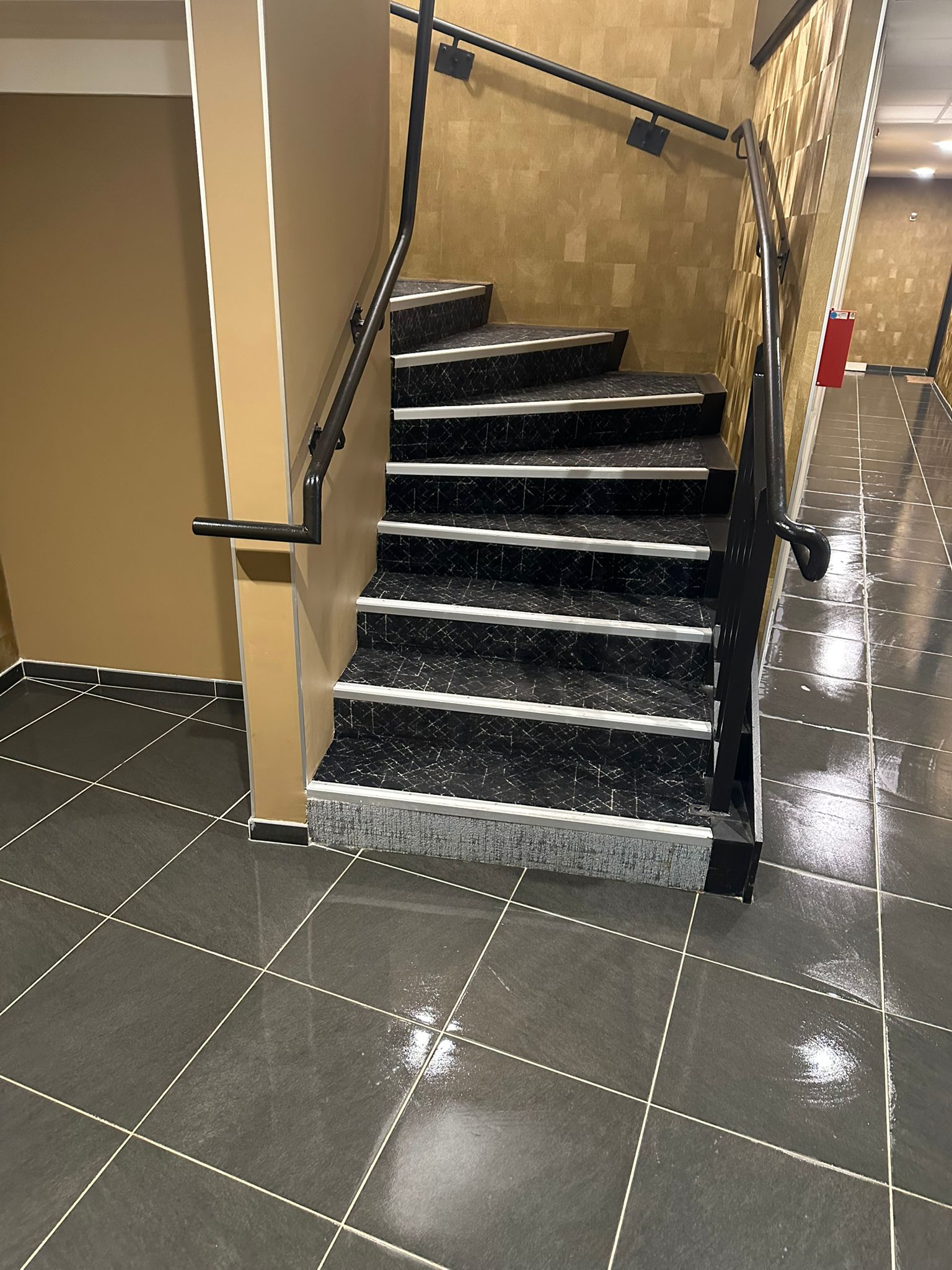 Nettoyage escalier  longages 31410